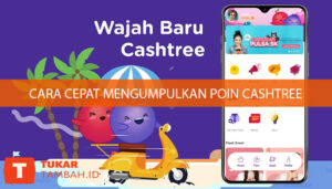 cara cepat mengumpulkan poin cashtree