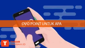 ovo point untuk apa